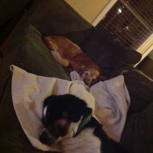 Meet your Posher, Hailey